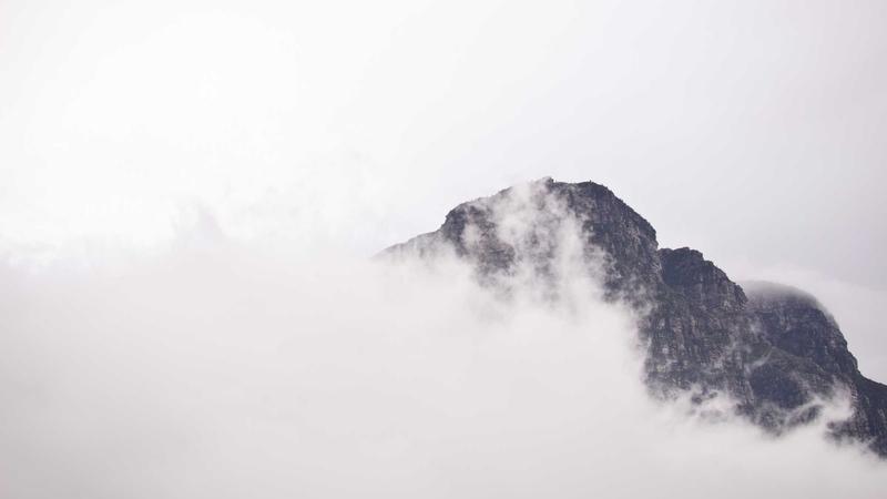 a站流鼻血版知名UP主入驻案例